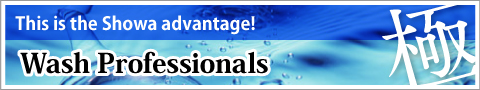 Wash Professionals
