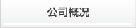公司概况
